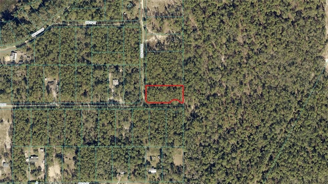 3895 SW 175th Ter, Dunnellon, FL 34432