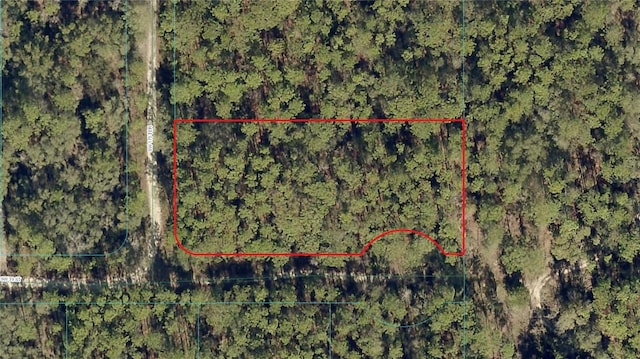 3895 SW 175th Ter, Dunnellon, FL 34432