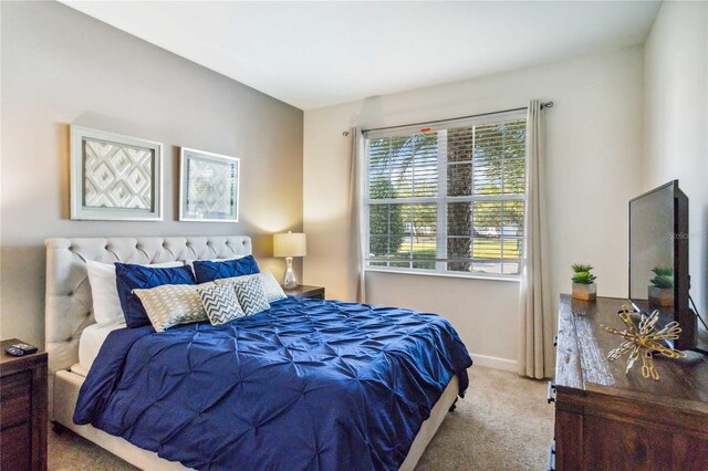 4740 Sleepy Hollow Dr, Kissimmee, FL 34746 - bedroom featuring carpet floors and baseboards