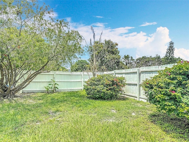 620 Wood Dr, Kissimmee, FL 34759 - view of yard