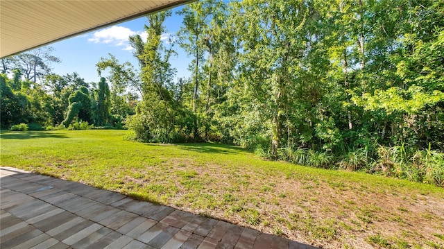 287 Hilltop Dr, Longwood, FL 32750 - view of grassy yard