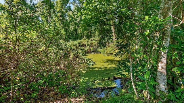 287 Hilltop Dr, Longwood, FL 32750 - view of undeveloped land