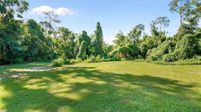 287 Hilltop Dr, Longwood, FL 32750 - view of grassy yard featuring a forest view