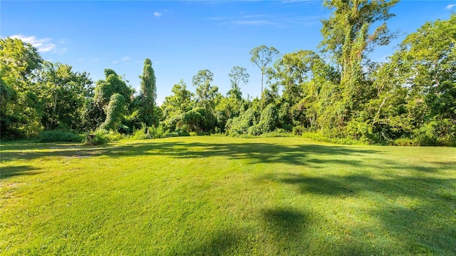 287 Hilltop Dr, Longwood, FL 32750 - view of grassy yard