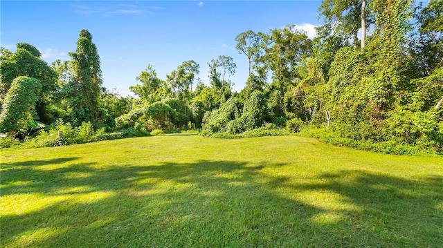 287 Hilltop Dr, Longwood, FL 32750 - view of grassy yard