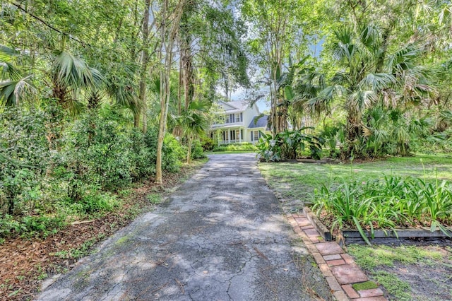 914 Elysium Blvd, Mount Dora, FL 32757 - view of asphalt driveway