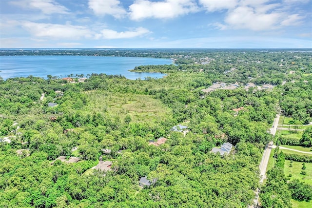 914 Elysium Blvd, Mount Dora, FL 32757 - bird's eye view of a forest and a nearby body of water