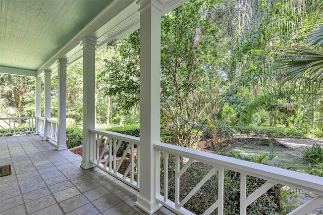 914 Elysium Blvd, Mount Dora, FL 32757 - view of porch