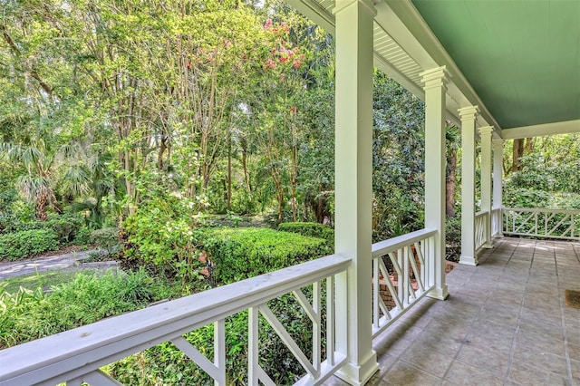 914 Elysium Blvd, Mount Dora, FL 32757 - covered porch with a wooded view