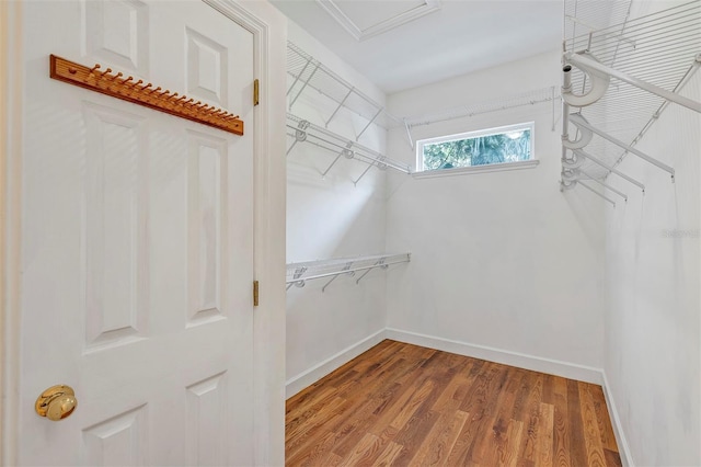 914 Elysium Blvd, Mount Dora, FL 32757 - walk in closet with wood finished floors