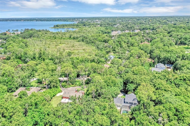 914 Elysium Blvd, Mount Dora, FL 32757 - aerial view of a forest and a nearby body of water