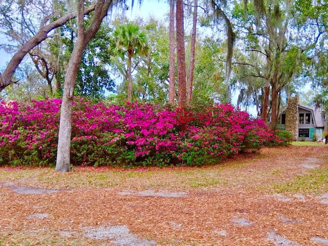 3443 S Mellonville Ave, Sanford, FL 32773 - photo 41