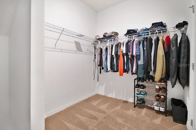 3280 Canna Lily Pl, Clermont, FL 34711 - walk in closet featuring carpet flooring