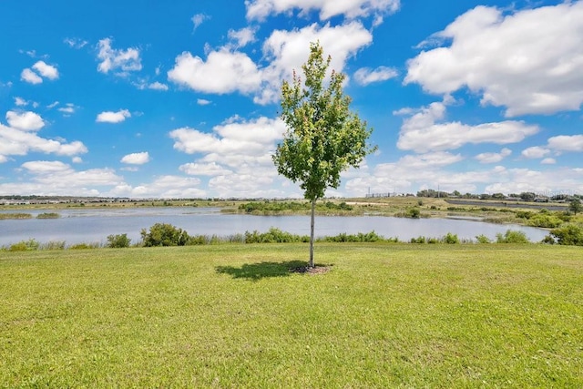 3280 Canna Lily Pl, Clermont, FL 34711 - water view