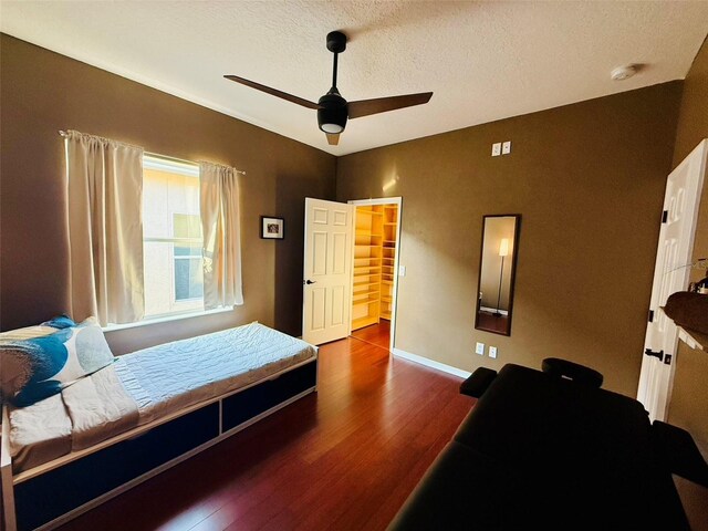18018 Malakai Isle Dr, Tampa, FL 33647 - photo 29