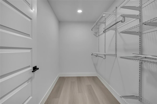 3461 W Webster Pl, Citrus Springs, FL 34433 - spacious closet featuring light wood finished floors