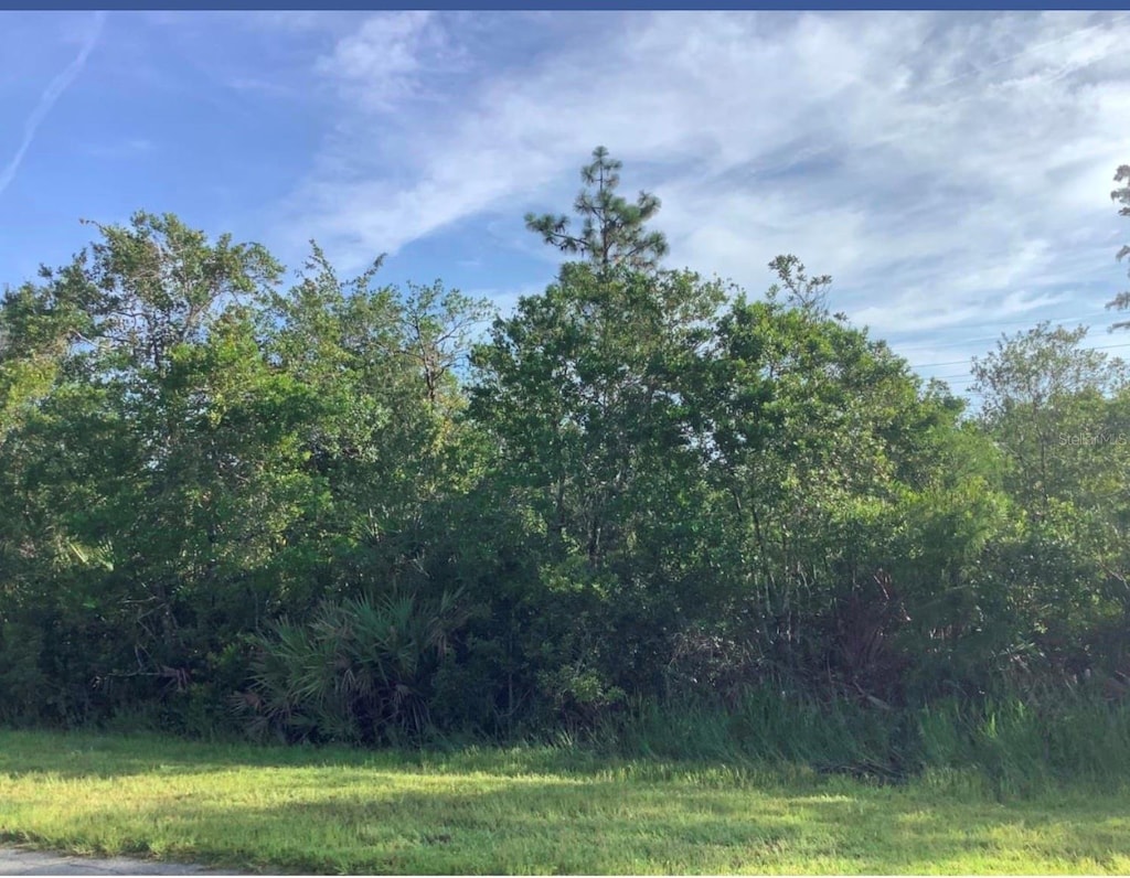 Wembley Ave, Orlando, FL 32833 - photo 1