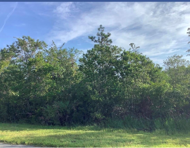 Wembley Ave, Orlando, FL 32833 - photo 1