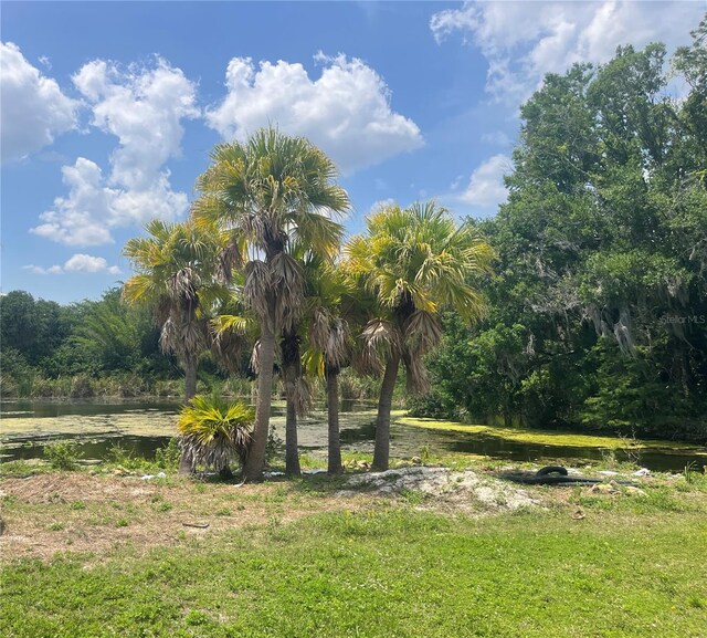 1231 43rd St, Orlando, FL 32839 - photo 3