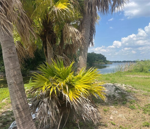 1231 43rd St, Orlando, FL 32839 - photo 7