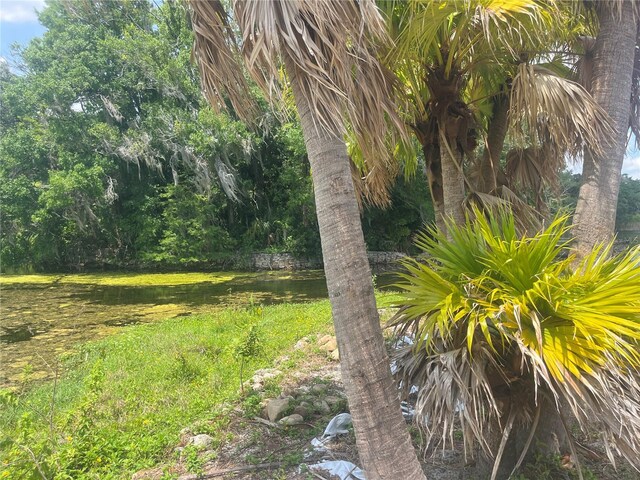 1231 43rd St, Orlando, FL 32839 - photo 8