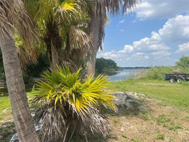 1231 43rd St, Orlando, FL 32839 - photo 9