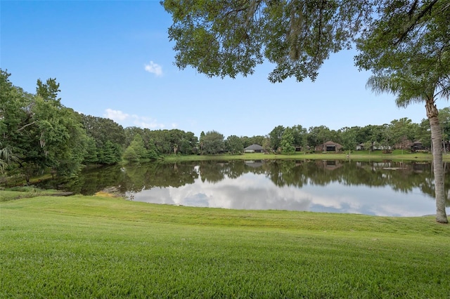 490 Wekiva Preserve Dr, Apopka, FL 32712 - water view