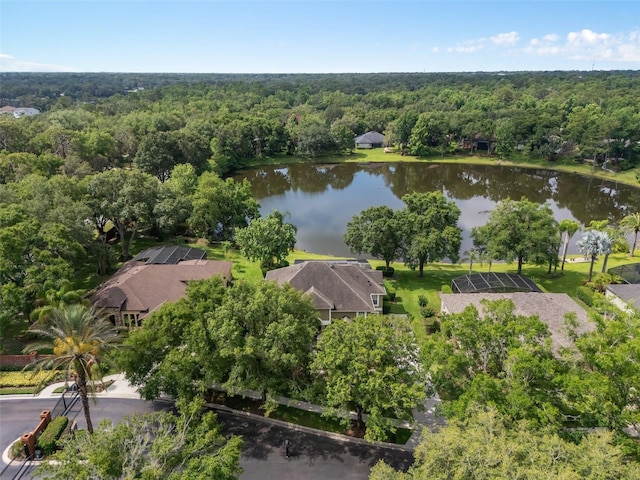 490 Wekiva Preserve Dr, Apopka, FL 32712 - aerial view of a heavily wooded area and a large body of water