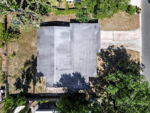 404 Courtney Dr, Temple Terrace, FL 33617 - photo 33