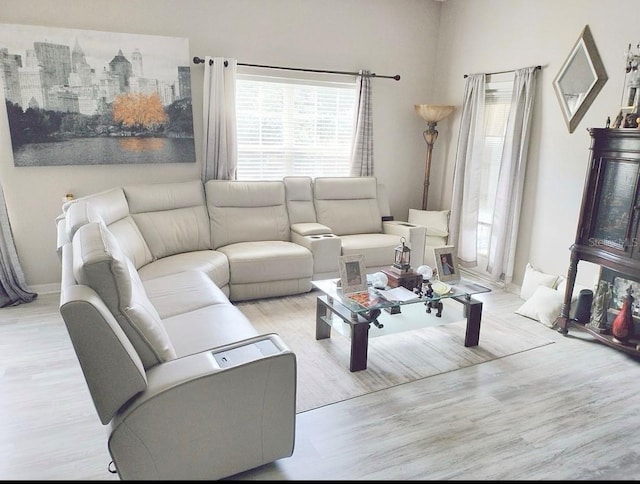 725 Ashworth Overlook Dr Unit C, Apopka, FL 32712 - living area with light wood finished floors and plenty of natural light