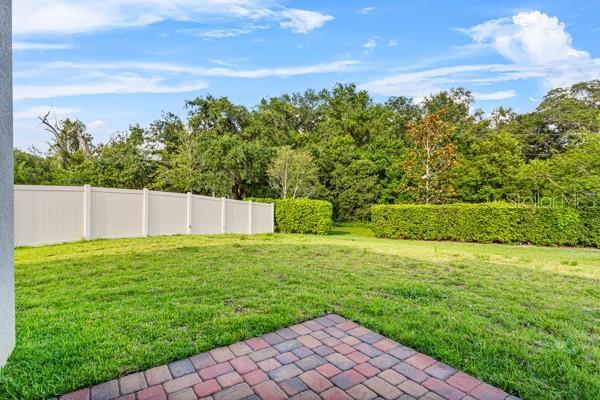 2914 Scarlett Dr, Saint Cloud, FL 34772 - view of yard