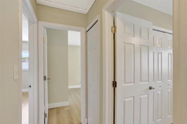 2835 Bongart Rd, Winter Park, FL 32792 - hallway with light wood-style flooring and baseboards