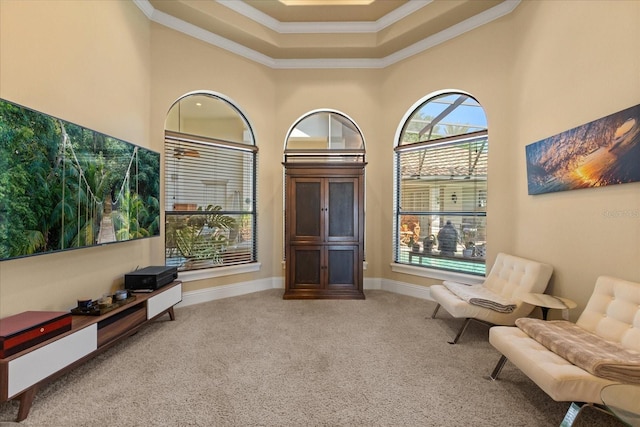 1010 Juliette Blvd, Mount Dora, FL 32757 - sitting room featuring carpet, crown molding, a raised ceiling, and baseboards