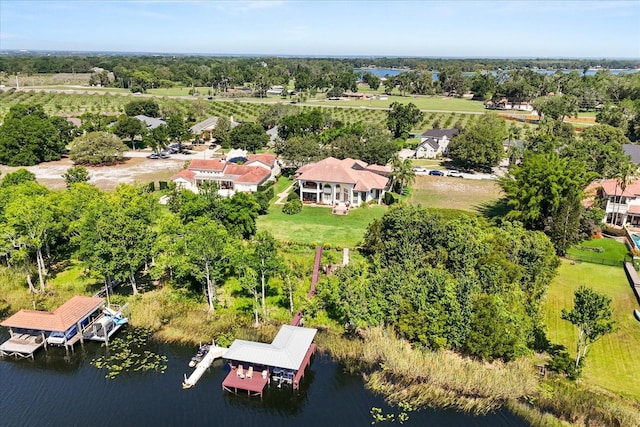 1010 Juliette Blvd, Mount Dora, FL 32757 - bird's eye view of a nearby body of water and a tree filled landscape