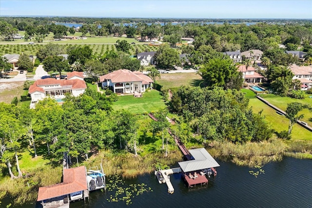 1010 Juliette Blvd, Mount Dora, FL 32757 - aerial view of a tree filled landscape and a nearby body of water