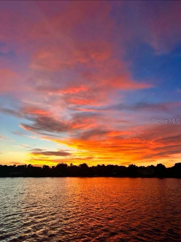 1010 Juliette Blvd, Mount Dora, FL 32757 - water view