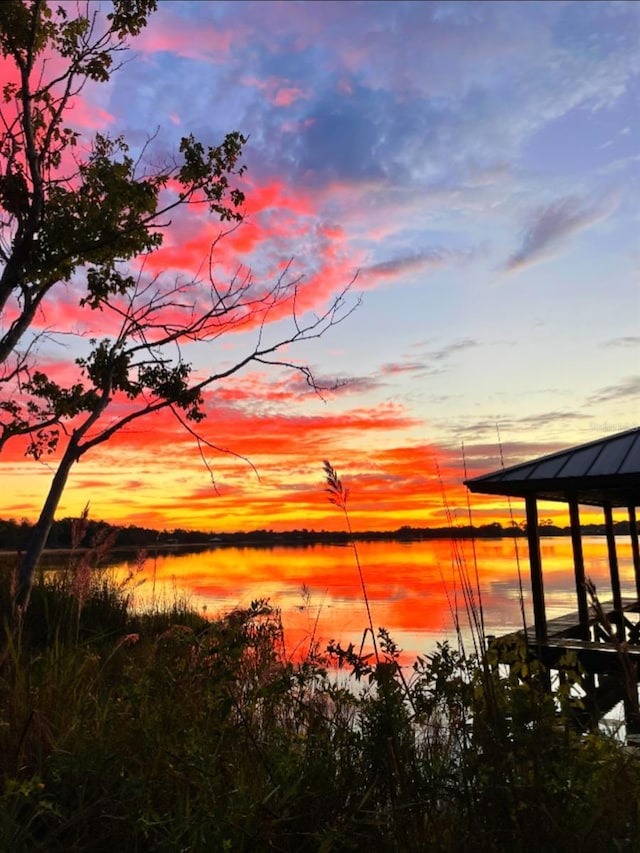 1010 Juliette Blvd, Mount Dora, FL 32757 - water view
