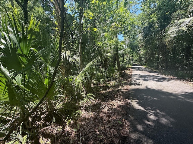 Independence Ave, Oviedo, FL 32765