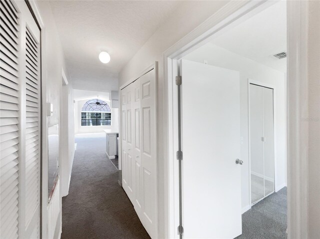 3142 Britannia Blvd Unit C, Kissimmee, FL 34747 - hall with dark colored carpet