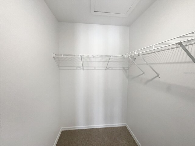 3142 Britannia Blvd Unit C, Kissimmee, FL 34747 - walk in closet with carpet flooring and attic access