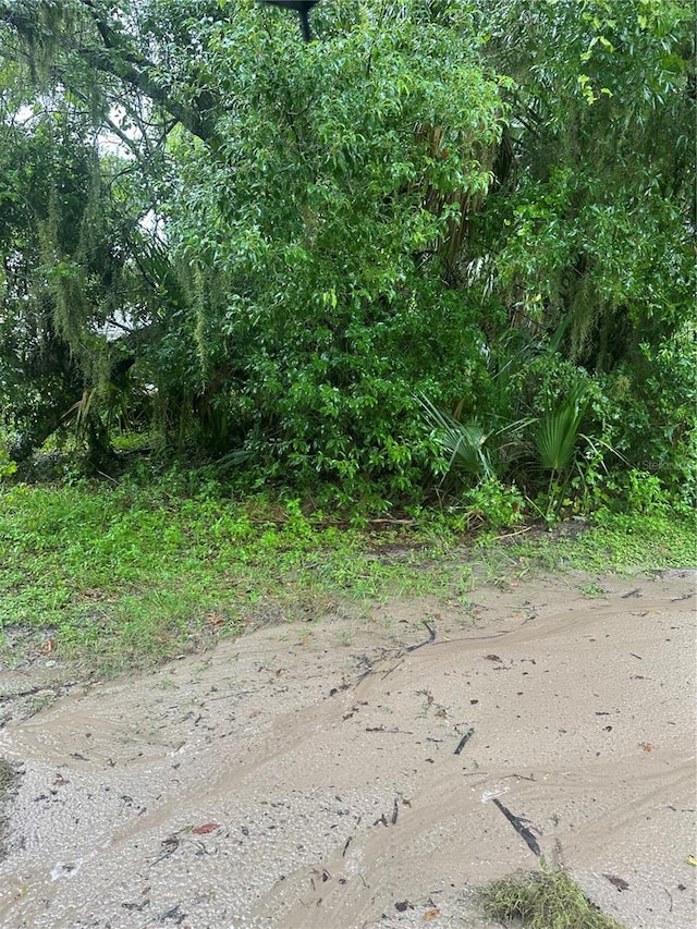 W Beresford Ave, Deland, FL 32720 - photo 5