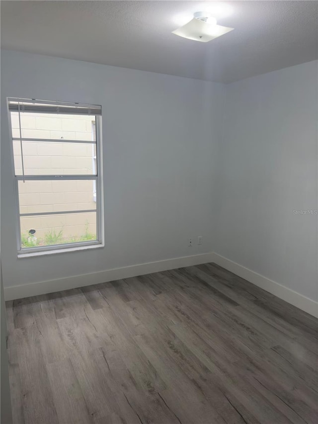 1241 Cleveland Ave, Apopka, FL 32703 - photo 9