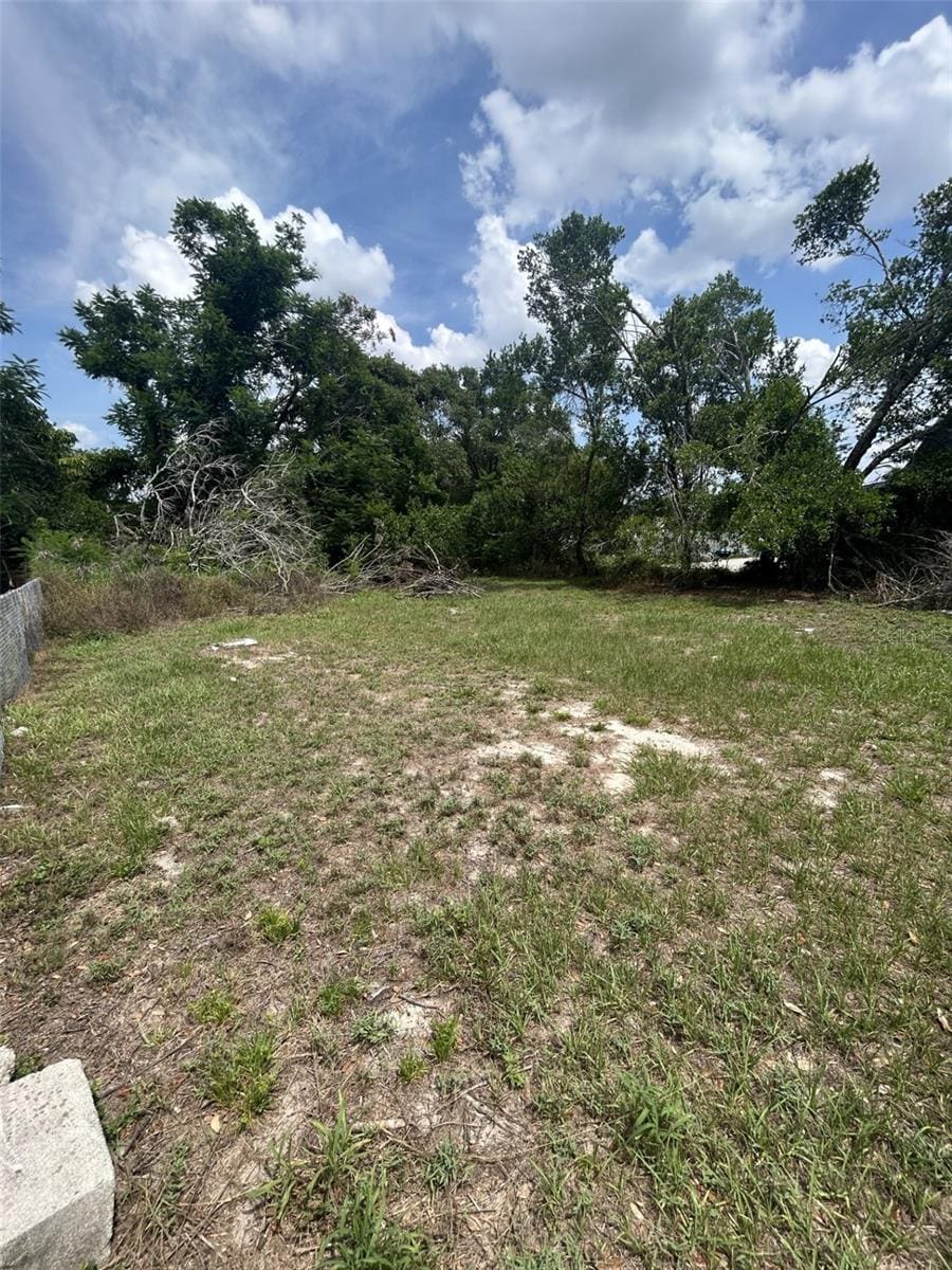 509 Lemon St, Auburndale, FL 33823 - view of yard