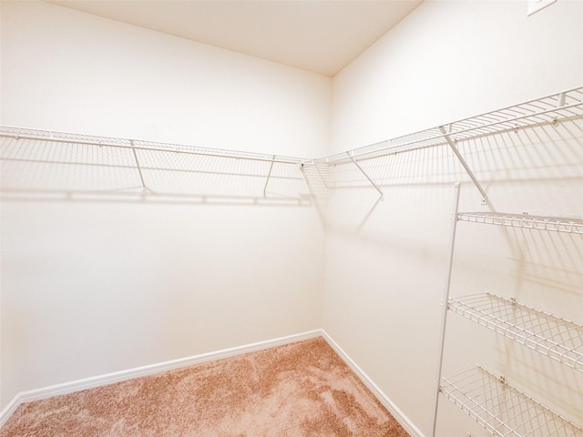 398 Citrus Isle Loop, Davenport, FL 33837 - walk in closet with light colored carpet