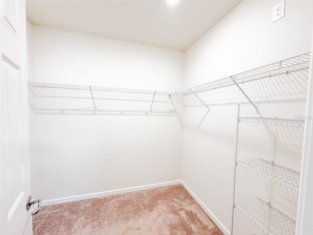 398 Citrus Isle Loop, Davenport, FL 33837 - spacious closet featuring light carpet