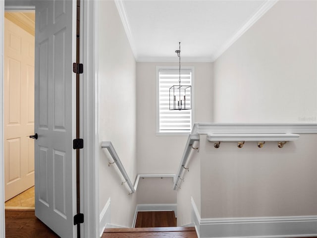 1438 Stickley Ave, Celebration, FL 34747 - stairway with ornamental molding and baseboards