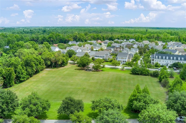 1438 Stickley Ave, Celebration, FL 34747 - aerial view of a forest