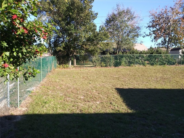 943 Millenbeck Ave, Deltona, FL 32725 - view of yard