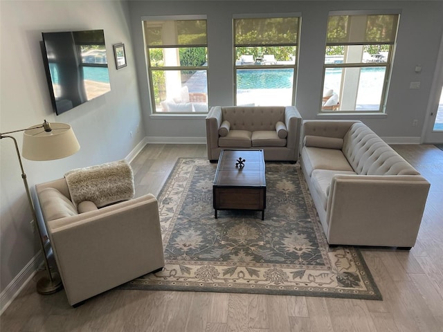302 Coco Plum Ct, Oldsmar, FL 34677 - living area featuring baseboards and wood finished floors