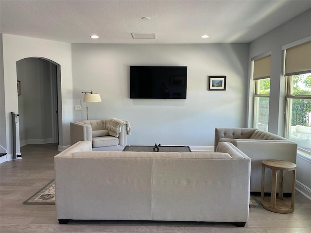 302 Coco Plum Ct, Oldsmar, FL 34677 - living room featuring arched walkways, light wood-type flooring, baseboards, and recessed lighting
